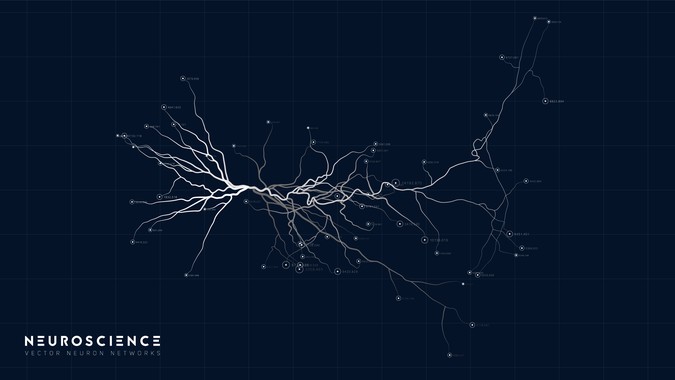 24_vector_image.jpg