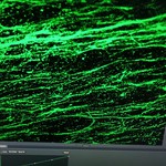 bad fibers green.jpg