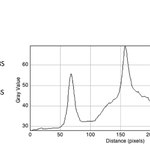 ProfilePlot.png