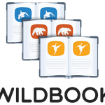 wildbook_small_500.png